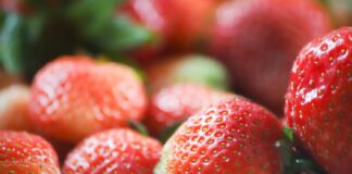 Deformacje owoców: zmieniki i sposób ich zwalczania