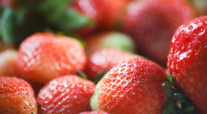 Deformacje owoców: zmieniki i sposób ich zwalczania