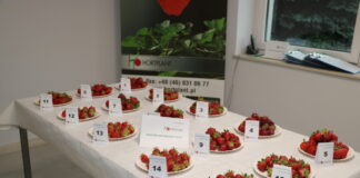 Hodowlane Rendez-Vous – degustacje truskawek i znacznie więcej – FOTOGALERIA