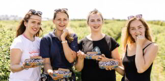 Producenci jagody kamczackiej zapraszają na swoje plantacje