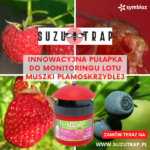 Symbioz_Suzurap_600X600