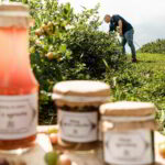 Szkolenie przetwórców (2)