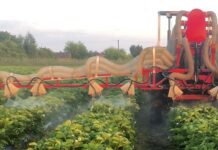 Dobra ochrona – jak dopryskać truskawki?