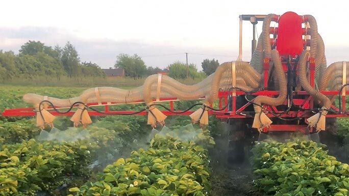 Dobra ochrona – jak dopryskać truskawki?