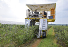 Kombajnem na zbiory borówki. FILM