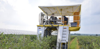 Kombajnem na zbiory borówki. FILM