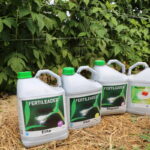 IMG_0928truskawka_borowka