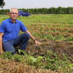 IMG_0939truskawka_borowka