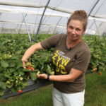 IMG_1046truskawka_borowka