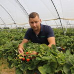 IMG_1064truskawka_borowka