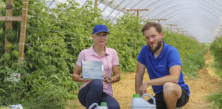 Jak wspomóc maliny w warunkach stresowych?