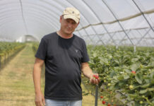 Nowoczesna produkcja owoców jagodowych i oferta na 365 dni w roku. FILM