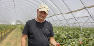 Nowoczesna produkcja owoców jagodowych i oferta na 365 dni w roku. FILM