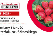 Truskawkowe Inspiracje – 6 sierpnia, na żywo w Agronom Berries