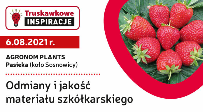 Truskawkowe Inspiracje – 6 sierpnia, na żywo w Agronom Berries