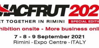 MACFRUT 2021, Italian Berry Day