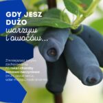 superowoce_haskap (1)