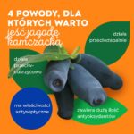 superowoce_haskap (3)