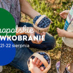 1_borowkobranie (4)