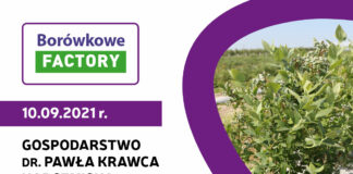 Borówkowe Factory 2021