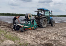 Przygotowanie zagonów pod uprawę truskawek. FILM