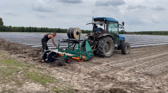Przygotowanie zagonów pod uprawę truskawek. FILM