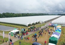 Malinowo truskawkowy duet w Agronom Berries