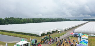 Malinowo truskawkowy duet w Agronom Berries