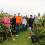 Dzień otwarty na plantaci aronii
