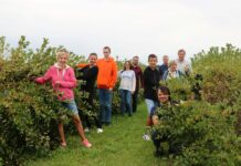Dzień otwarty na plantacji aronii