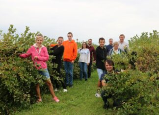 Dzień otwarty na plantacji aronii