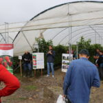 IMG_1162malinowe_truskawkowe_2021