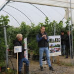 IMG_1167malinowe_truskawkowe_2021