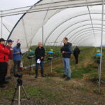 IMG_1185malinowe_truskawkowe_2021
