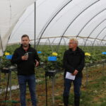 IMG_1198malinowe_truskawkowe_2021