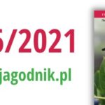 Jagodnik 12021