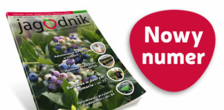 Jagodnik 6/2021 już w sprzedaży