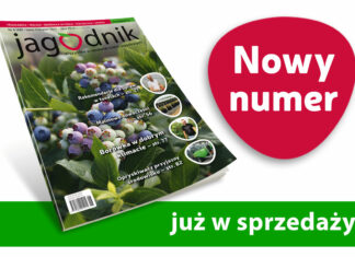 Jagodnik 6/2021 już w sprzedaży