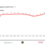 Konsumpcja sierpień_warzywa (14)