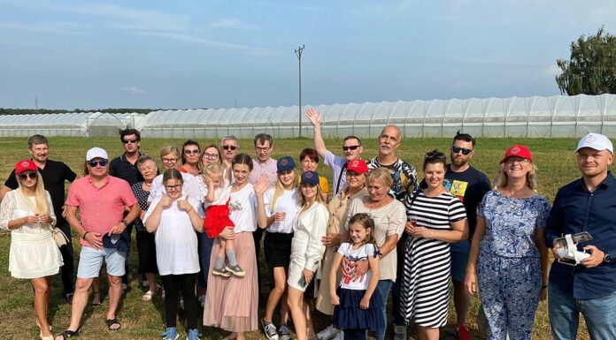 Medycy na plantacjach owoców jagodowych