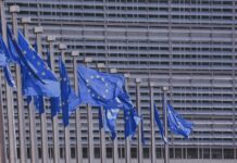 Kraje UE zobowiązały się do posiadania 25% rolnictwa ekologicznego do 2030 r.