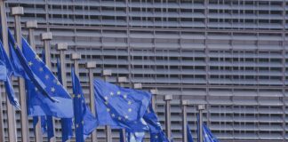 Kraje UE zobowiązały się do posiadania 25% rolnictwa ekologicznego do 2030 r.