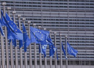 Kraje UE zobowiązały się do posiadania 25% rolnictwa ekologicznego do 2030 r.