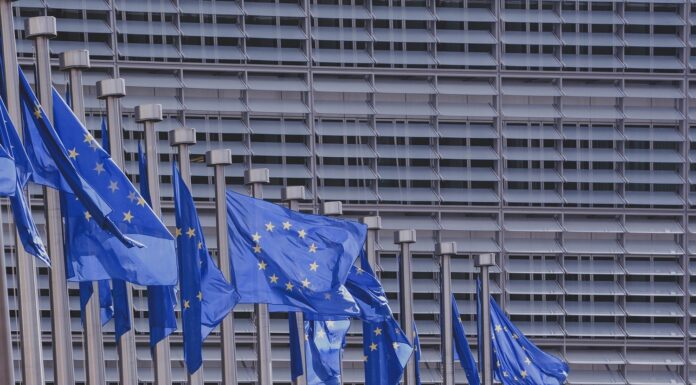 Kraje UE zobowiązały się do posiadania 25% rolnictwa ekologicznego do 2030 r.