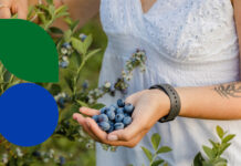 Zapraszamy na Borówkobranie!