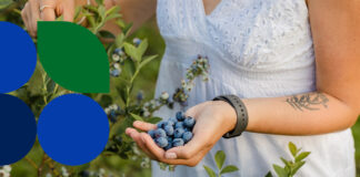 Zapraszamy na Borówkobranie!