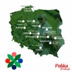superowoce_22sierpnia_mapa (1)