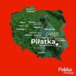 superowoce_22sierpnia_mapa (4)