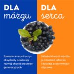 superowoce_aronia (2)