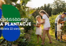 Dziękujemy i zapraszamy na plantacje!
